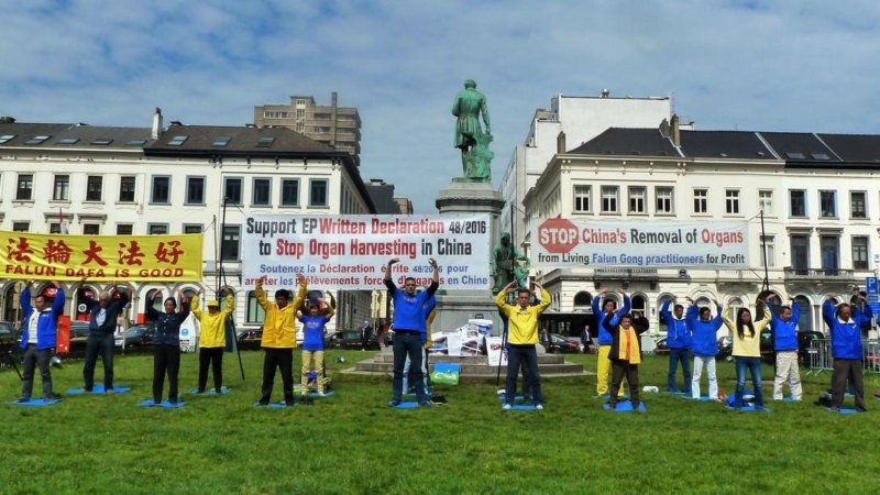 Практикующие Фалуньгун напротив здания Европарламента призывают обратить внимание на насильственное извлечение органов у практикующих в Китае