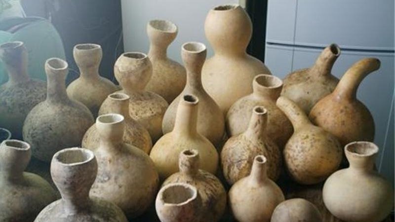В Китае сушёные плоды тыквы-горлянки издревле использовались в качестве материала для изготовления декоративных предметов
