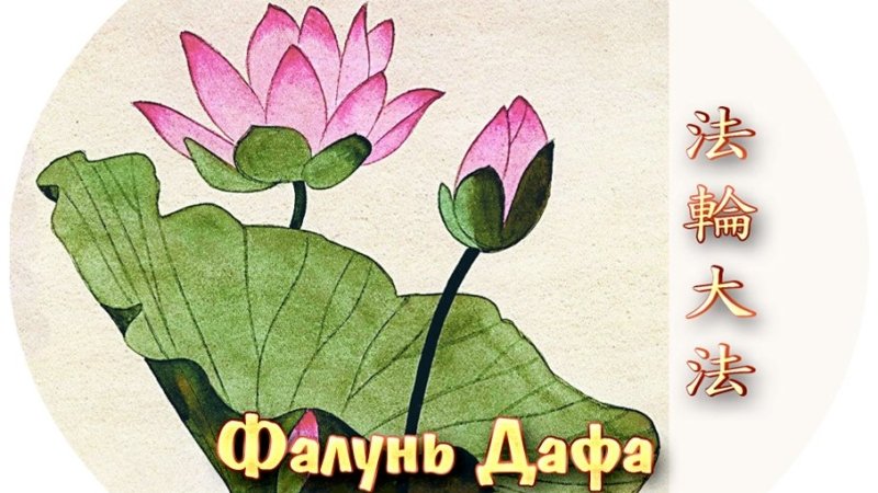 Цветок лотоса – символ совершенствования