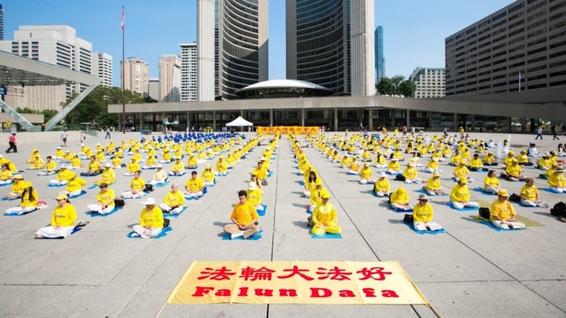 Практикующие выполняют упражнения Фалуньгун. Канада, Онтарио, 21 июля 2017 г.