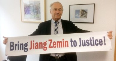 Мартин Патцельт, член парламента Германии, разместил эту фотографию на своём сайте, рассказывая что он подписал петицию в поддержку исков, против Цзяна