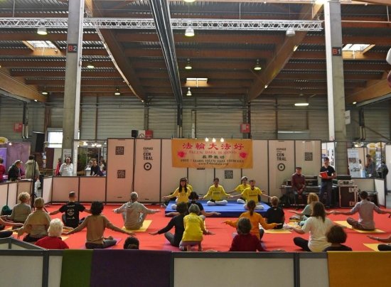 Желающие изучают движения упражнений во время демонстрации практикующими пяти комплексов упражнений Фалунь Дафа на Фестивале йоги в Париже 20 октября 2017 года