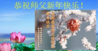 Приверженцы Фалуньгун поздравляют с китайским Новым годом Мастера Ли Хунчжи, отправляя красочные открытки с сердечными пожеланиями и словами благодарности