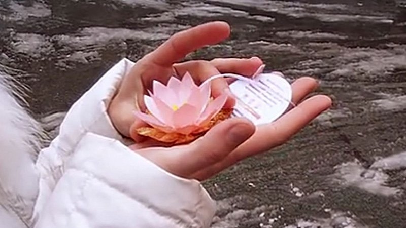 Лотос, символ духовной чистоты, на морозе в согревающих его руках. Скриншот с ntdtv.ru