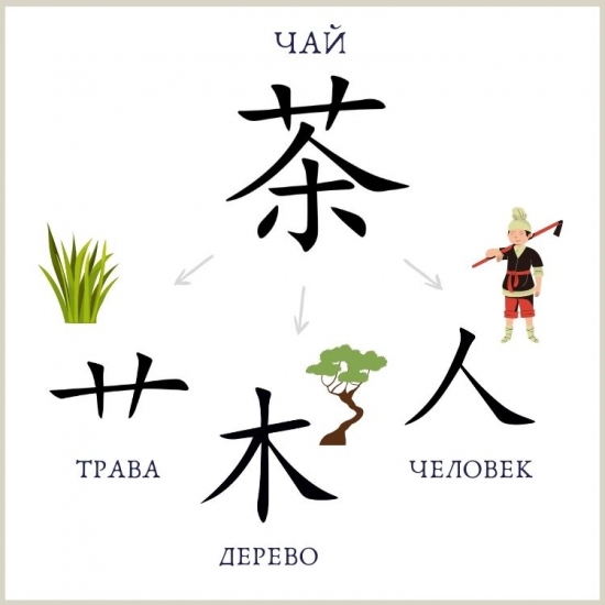 Составные части иероглифа «чай»