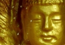 Цветы удумбара, обнаруженные на статуе Будды в Южной Корее