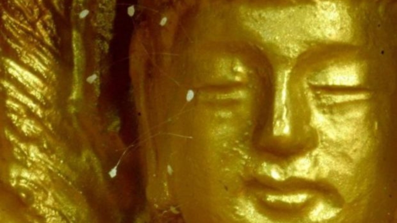 Цветы удумбара, обнаруженные на статуе Будды в Южной Корее