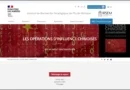 Сайт IRSEM с сообщением об отчёте «Китайские операции влияния», фото minghui.org