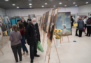 В зале Международной выставки «Истина, Доброта, Терпение», Москва, декабрь 2021 г.