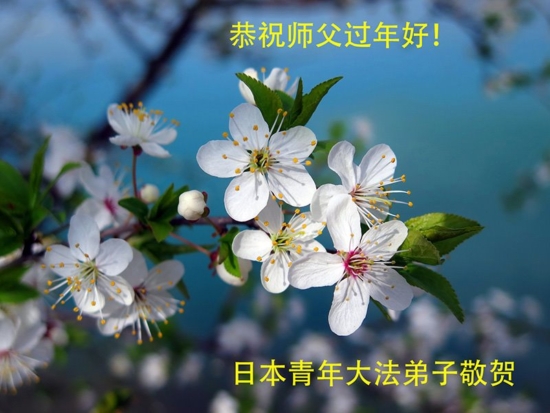 Поздравление Мастеру Ли Хунчжи от практикующих Фалунь Дафа в Японии