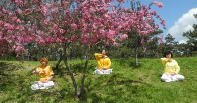 Выполнение медитации Фалуньгун под сенью цветущих деревьев. Крым, 13.05.2023 г.